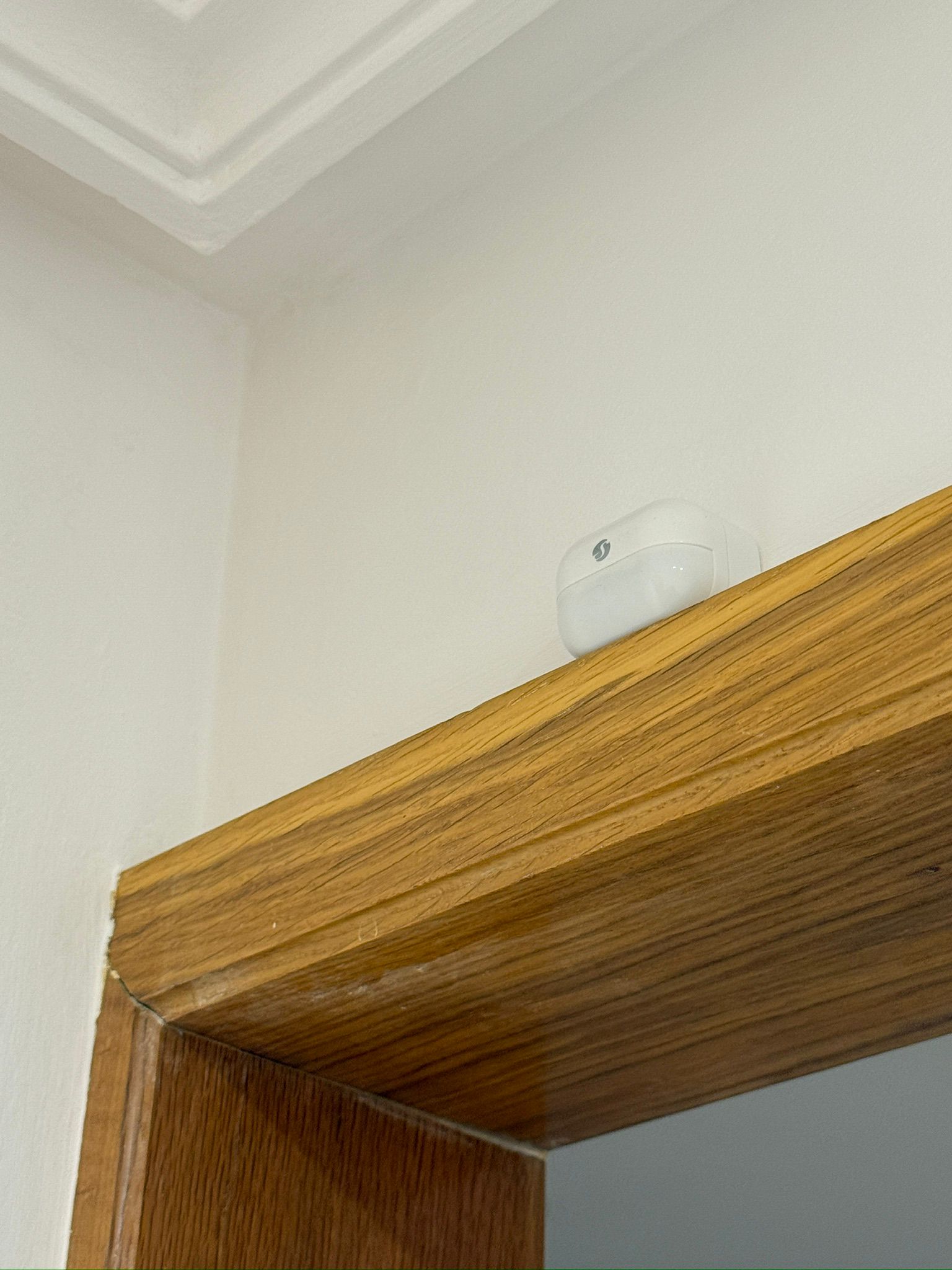 Motion Sensor