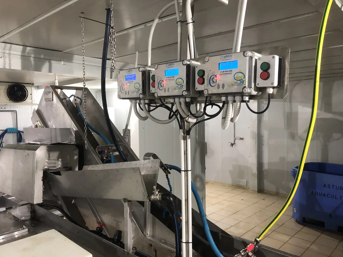 RFID Devices Installed at Fish Farm